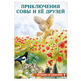 Приключения совы и её друзей