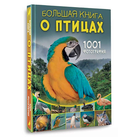 Фото Большая книга о птицах. 1001 фотография