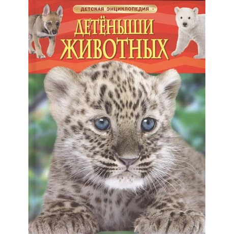 Фото Детеныши животных
