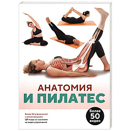 Анатомия и пилатес