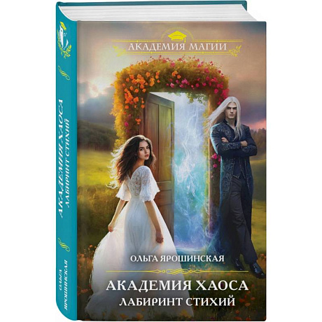 Фото Академия хаоса. Лабиринт стихий