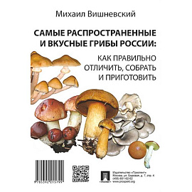 Самые распространенные и вкусные грибы России: как правильно отличить, собрать и приготовить