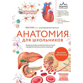 Анатомия для школьников. Пособие для учеников химико-биологических классов и абитуриентов естественно-научных направлений