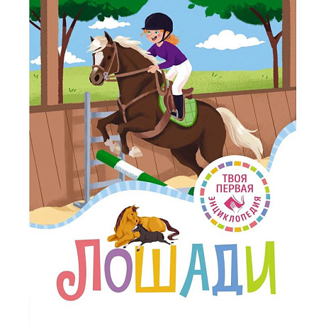 Фото Лошади