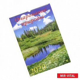 Календарь 2020 'Очарование природы' (12007)