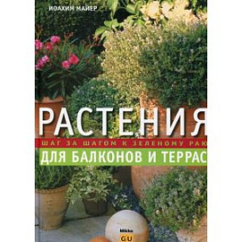 Растения для балконов и террас