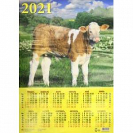 Календарь настенный на 2021 год 'Год быка. Симпатичный теленок' (90126)