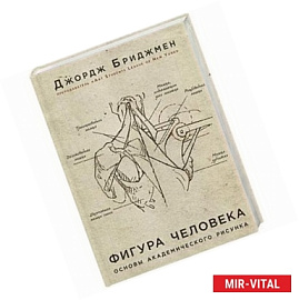 Фигура человека. Основы академического рисунка. В новой суперобложке