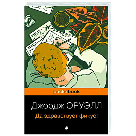 Фото Да здравствует фикус!