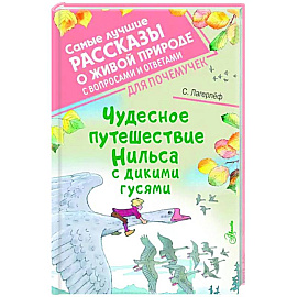 Чудесное путешествие Нильса с дикими гусями