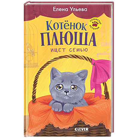 Фото Котенок Плюша ищет семью