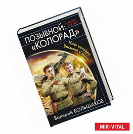 Позывной: «Колорад». Наш человек Василий Сталин