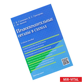 Правоохранительные органы в схемах