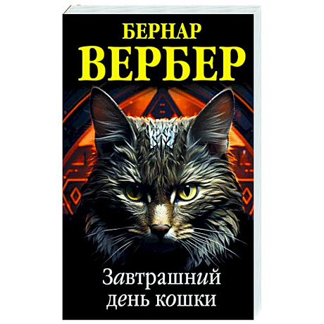 Фото Завтрашний день кошки