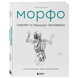 МОРФО. Скелет и мышцы человека. Анатомия для художников