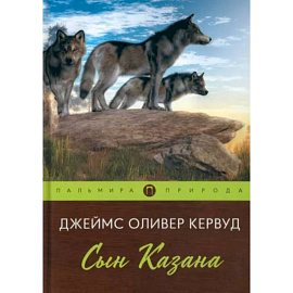 Сын Казана