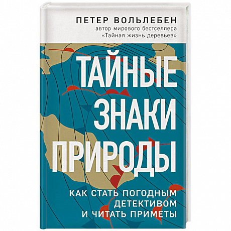 Фото Тайные знаки природы: как стать погодным детективом и читать приметы