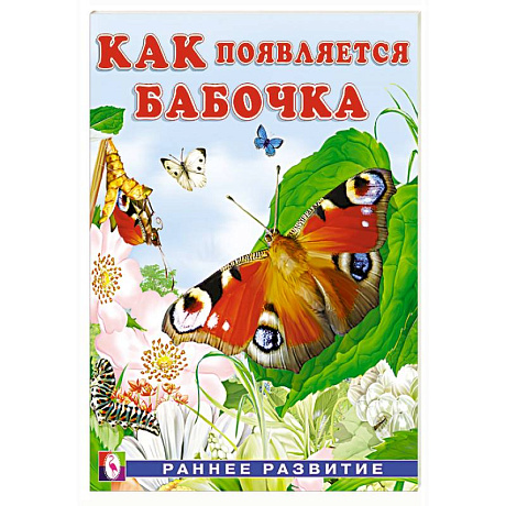 Фото Как появляется бабочка