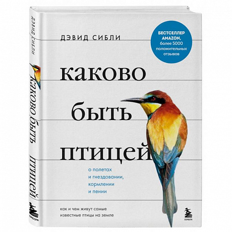 Фото Каково быть птицей. О полетах и гнездовании, кормлении и пении. Как и чем живут самые известные птиц