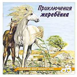 Приключения жеребёнка