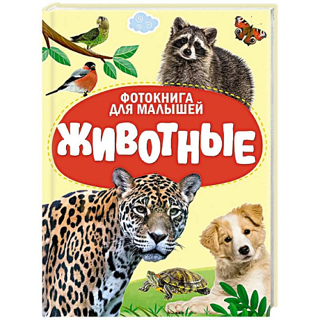 Фото Животные