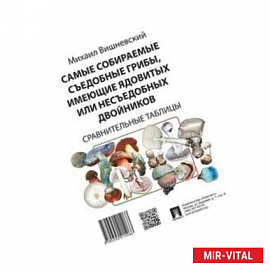 Самые собираемые съедобные грибы, имеющие ядовитых двойников. Сравнительные таблицы