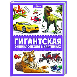 Гигантская энциклопедия в картинках