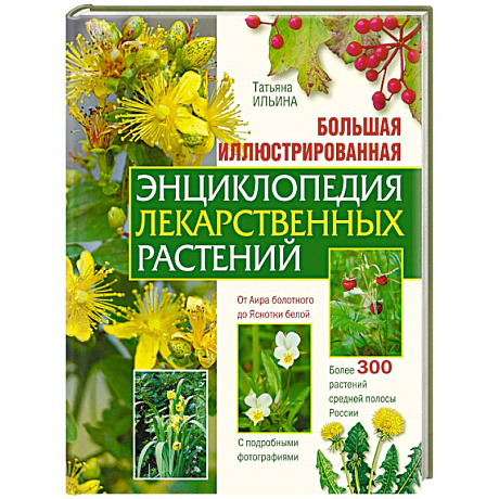Фото Большая иллюстрированная энциклопедия лекарственных растений