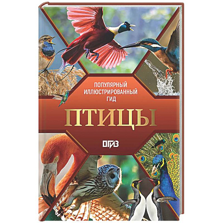 Фото Птицы. Иллюстрированный гид