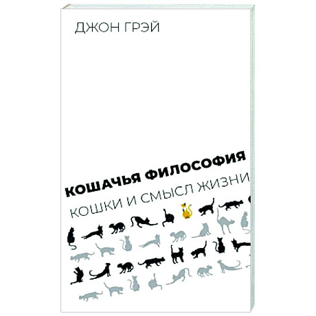 Фото Кошачья философия. Кошки и смысл жизни
