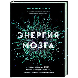 Энергия мозга. Теория развития всех психических заболеваний, объясняющая их общую причину