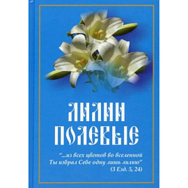 Лилии полевые: книга для семейного чтения