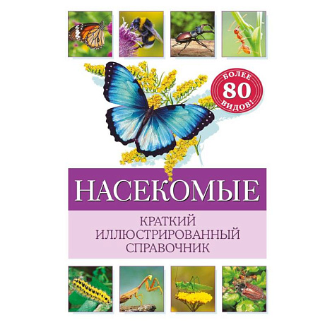 Фото Насекомые. Краткий иллюстрированный справочник
