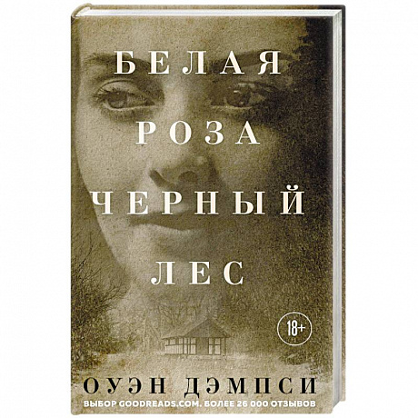 Фото Белая роза, Черный лес