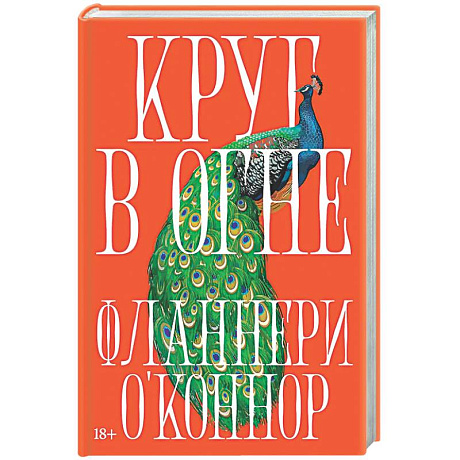 Фото Круг в огне