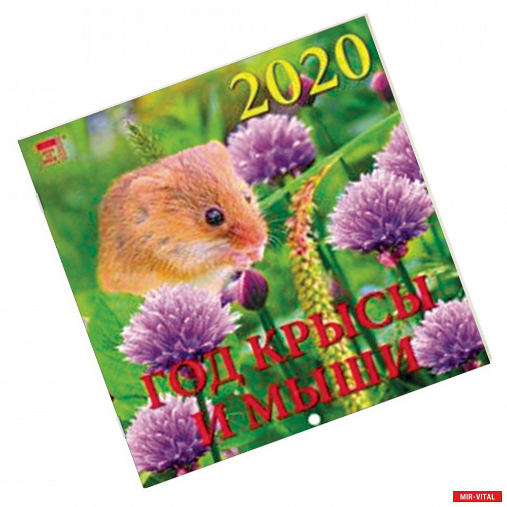Фото Календарь 2020 'Год крысы и мыши'