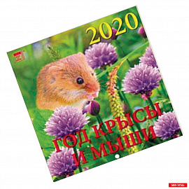 Календарь 2020 'Год крысы и мыши'