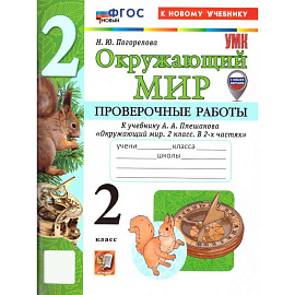 Окружающий мир 2 класс Проверочные работы
