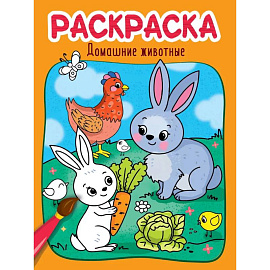 Раскраска. Домашние животные