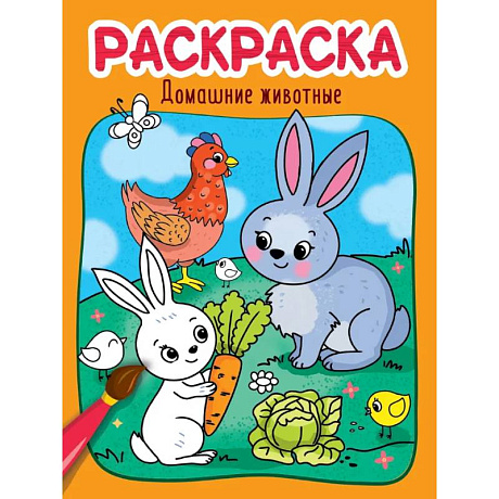 Фото Раскраска. Домашние животные