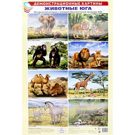 Демонстрационные картины А3. Животные Юга (8 плакатов)
