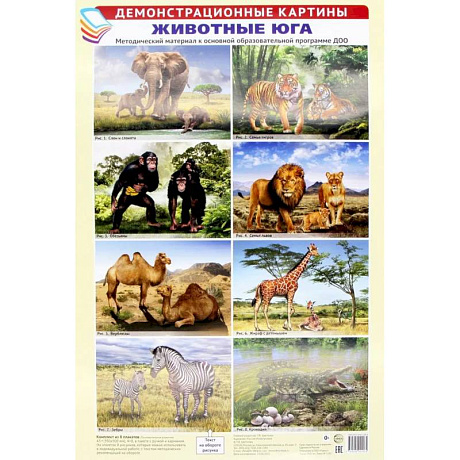 Фото Демонстрационные картины А3. Животные Юга (8 плакатов)