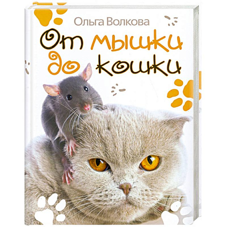 Фото От мышки до кошки