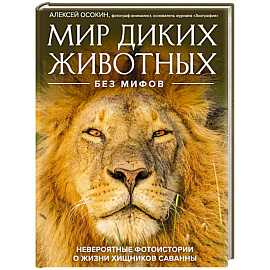 Мир диких животных без мифов. Невероятные фото-истории о жизни хищников саванны