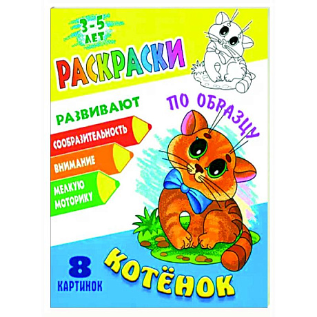 Фото Котенок