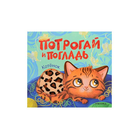 Фото Котенок