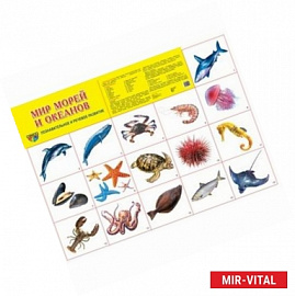 Демонстрационный плакат. Мир морей и океанов