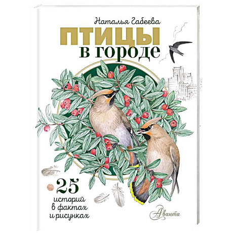 Фото Птицы в городе. 25 историй в фактах и рисунках
