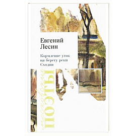 Кормление уток на берегу реки Сходни