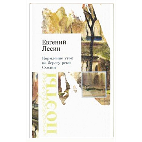 Фото Кормление уток на берегу реки Сходни